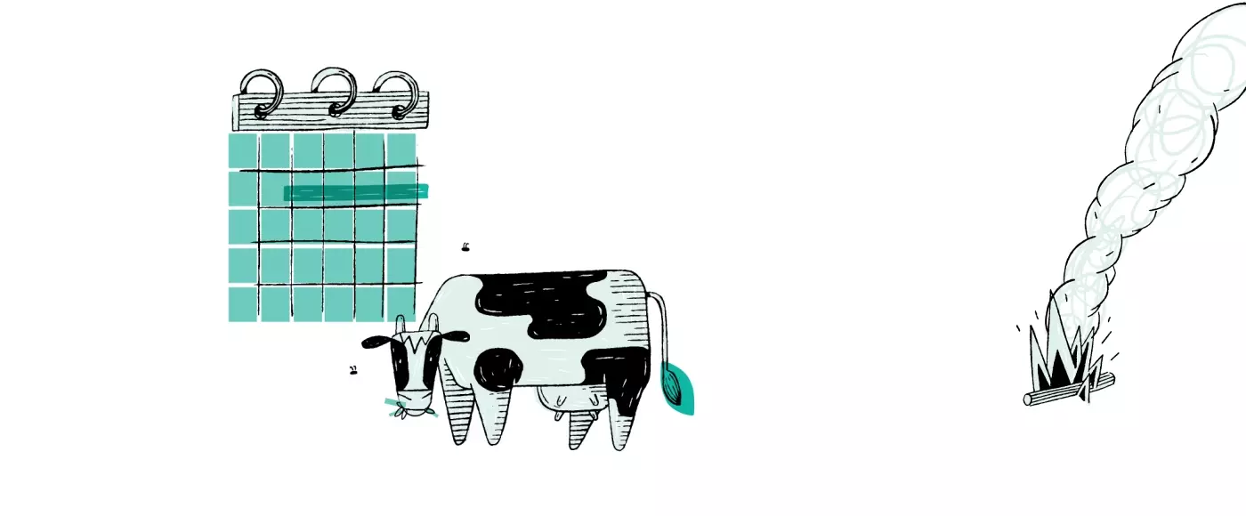 Vache And Co INRAE Ecodiv, projet motion design toulouse